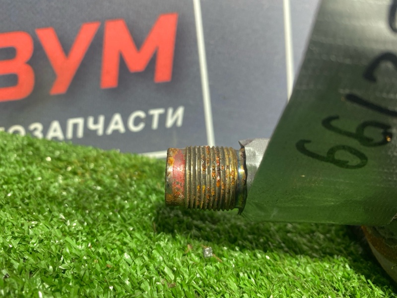 Привод, 6000 рублей, Солонцы