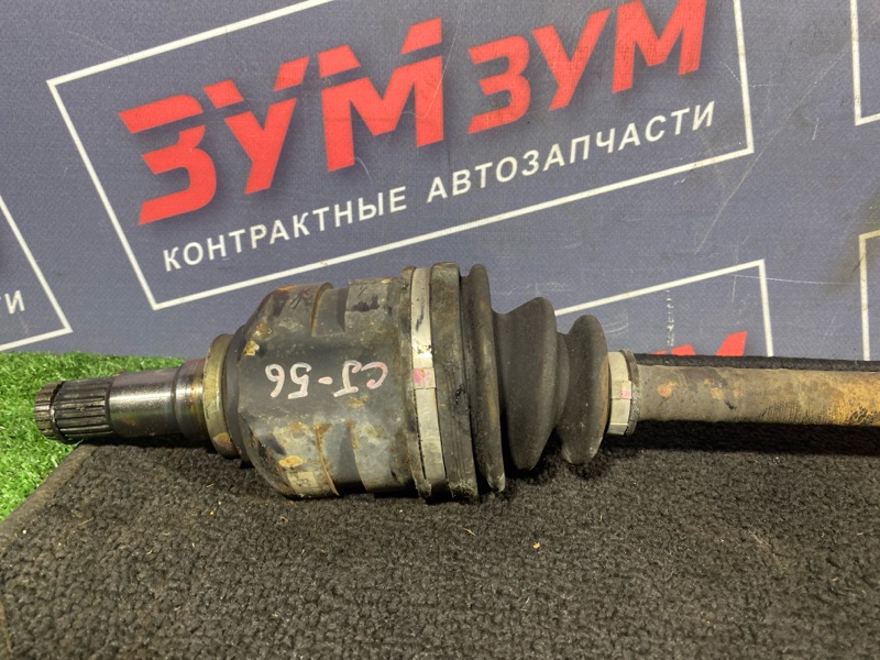 Привод, 6000 рублей, Солонцы