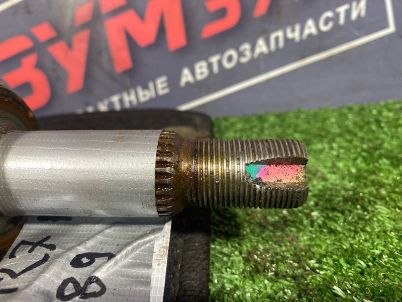 Привод, 6000 рублей, Солонцы