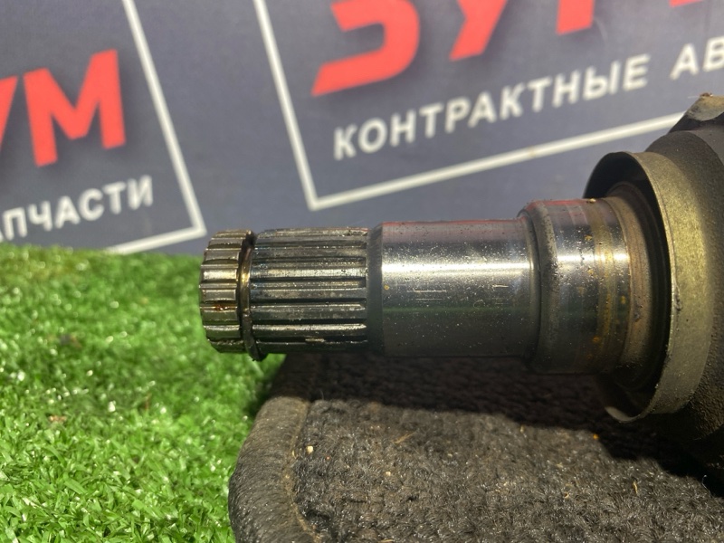 Привод, 6000 рублей, Солонцы