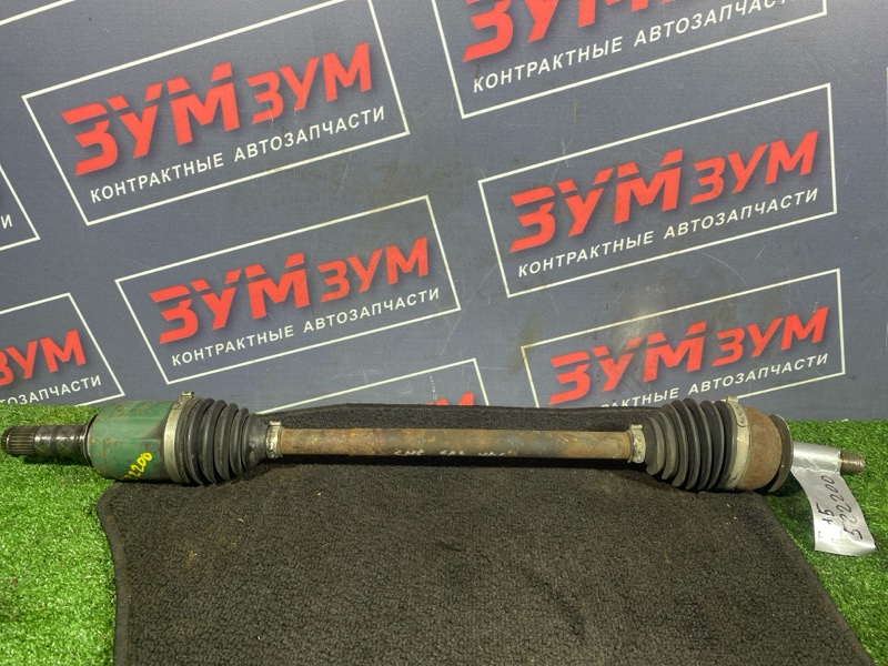 Привод, 6000 рублей, Солонцы