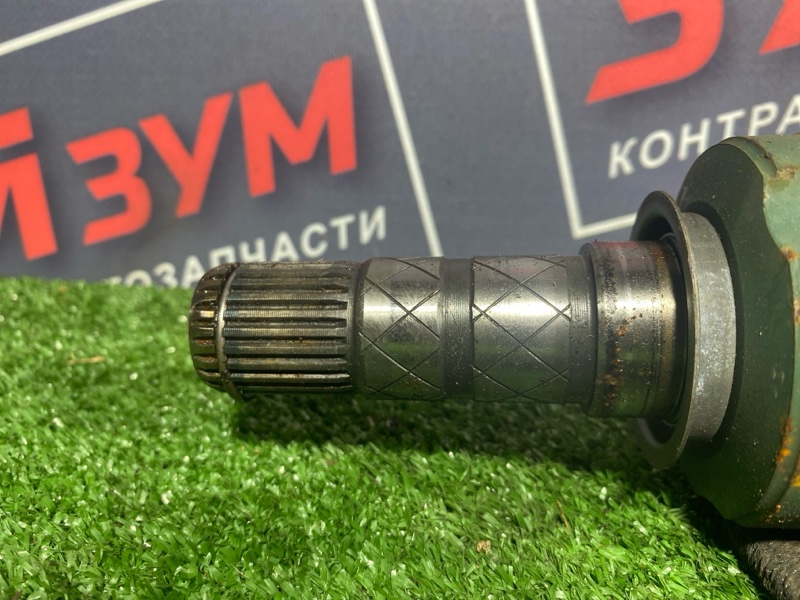 Привод, 6000 рублей, Солонцы