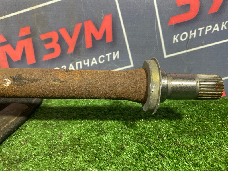 Привод, 20000 рублей, Солонцы