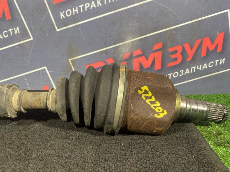 Привод, 5000 рублей, Солонцы