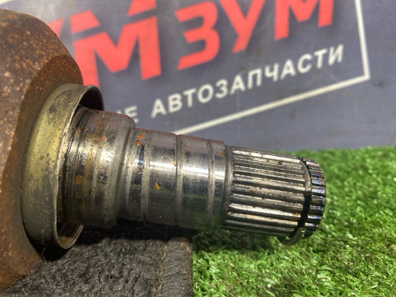 Привод, 5000 рублей, Солонцы