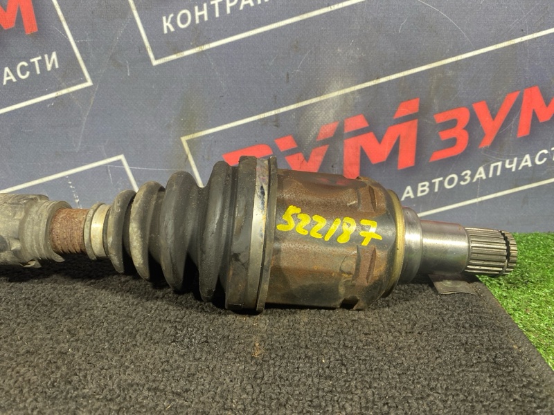 Привод, 5300 рублей, Солонцы