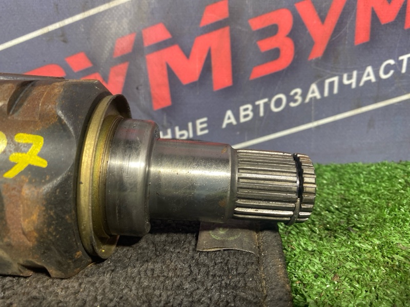 Привод, 5300 рублей, Солонцы