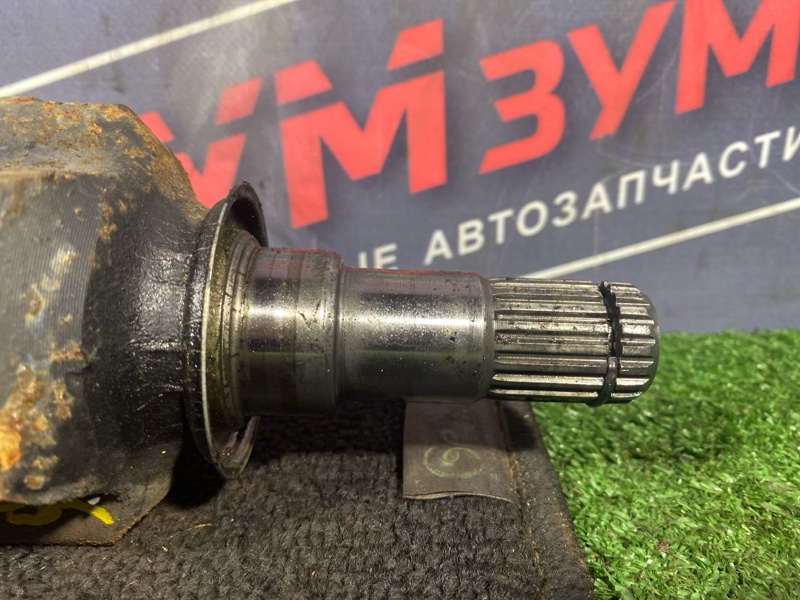 Привод, 7000 рублей, Солонцы