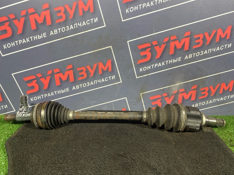 Привод, 10000 рублей, Солонцы