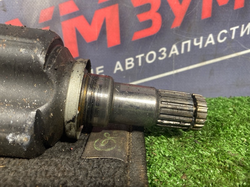 Привод, 10000 рублей, Солонцы