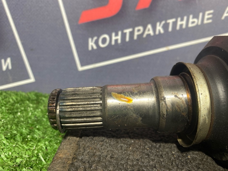 Привод, 9500 рублей, Солонцы