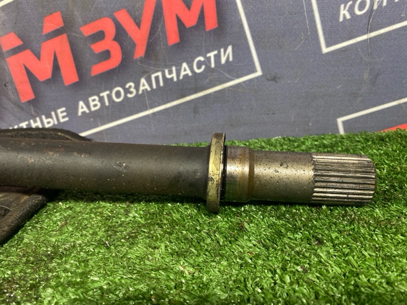 Привод, 4500 рублей, Солонцы