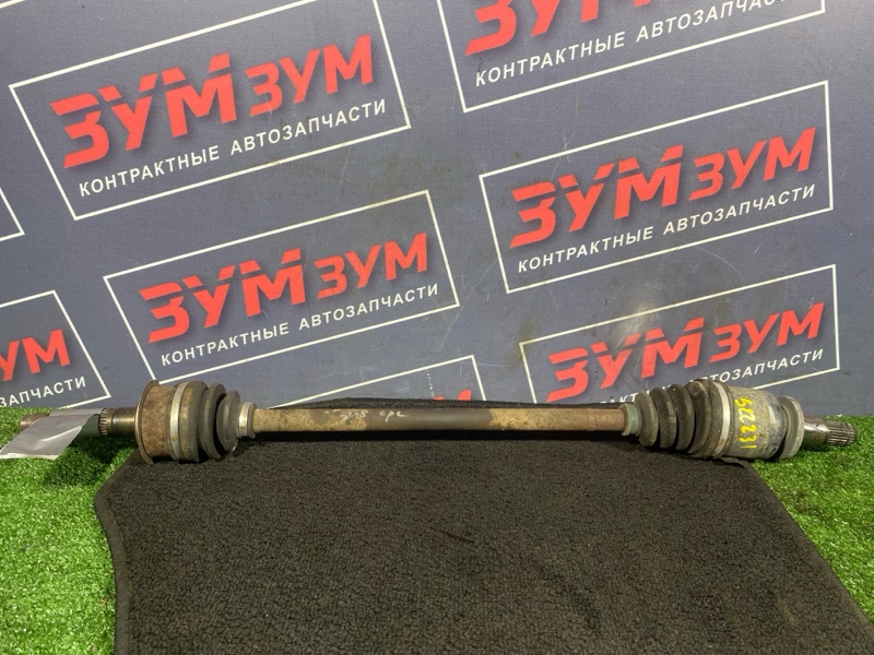 Привод, 1000 рублей, Солонцы