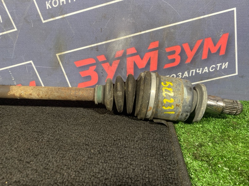 Привод, 1000 рублей, Солонцы