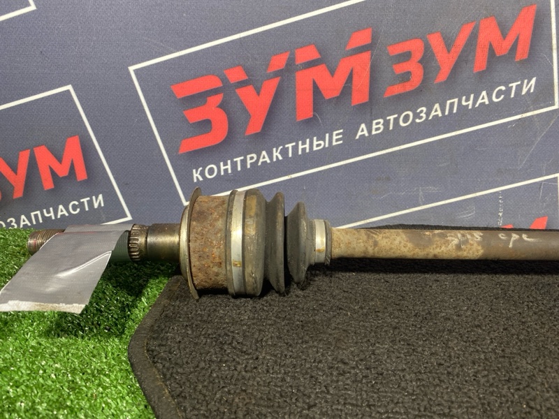 Привод, 1000 рублей, Солонцы