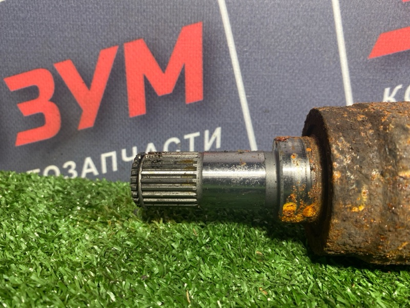 Привод, 3300 рублей, Солонцы