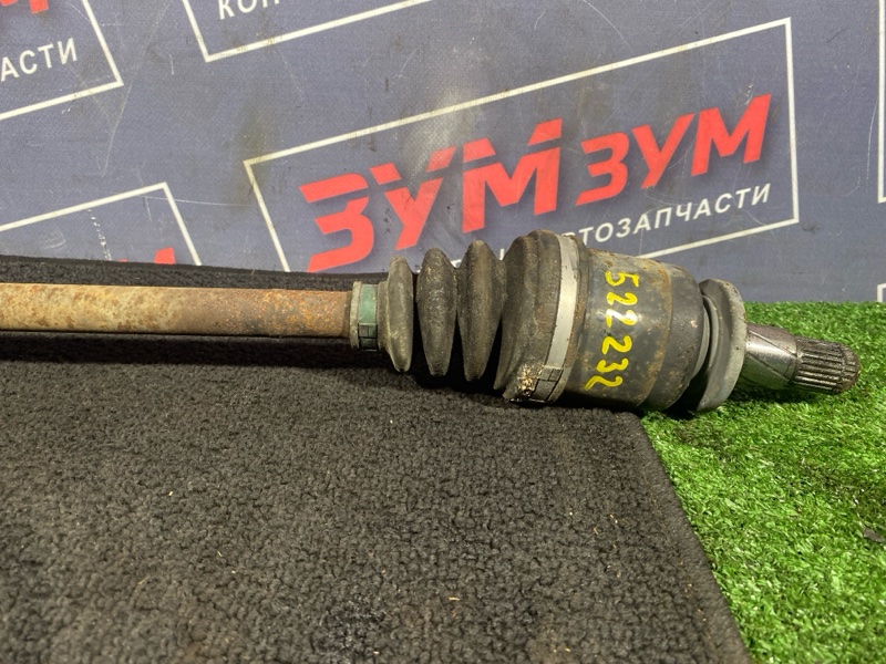 Привод, 1000 рублей, Солонцы