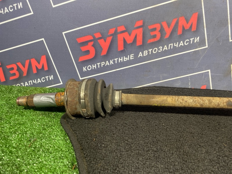 Привод, 1000 рублей, Солонцы