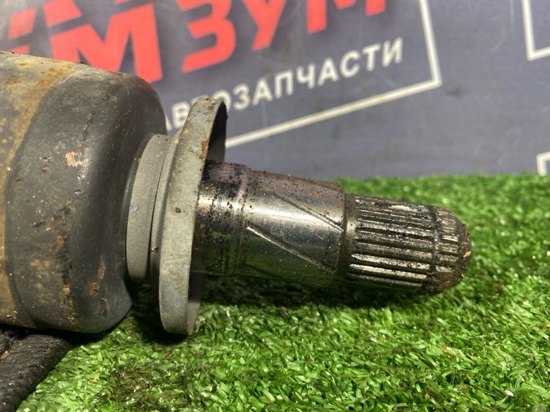 Привод, 1000 рублей, Солонцы