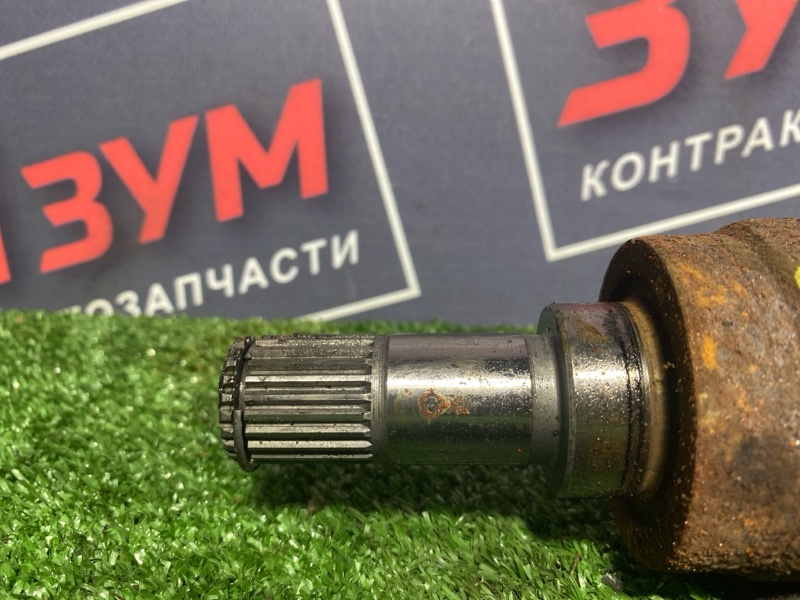 Привод, 9500 рублей, Солонцы