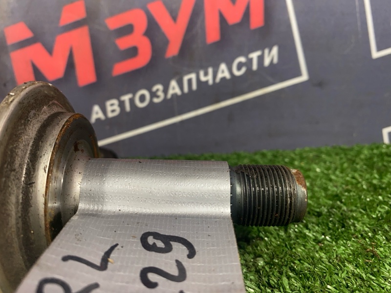 Привод, 9500 рублей, Солонцы