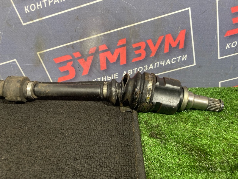 Привод, 2300 рублей, Солонцы