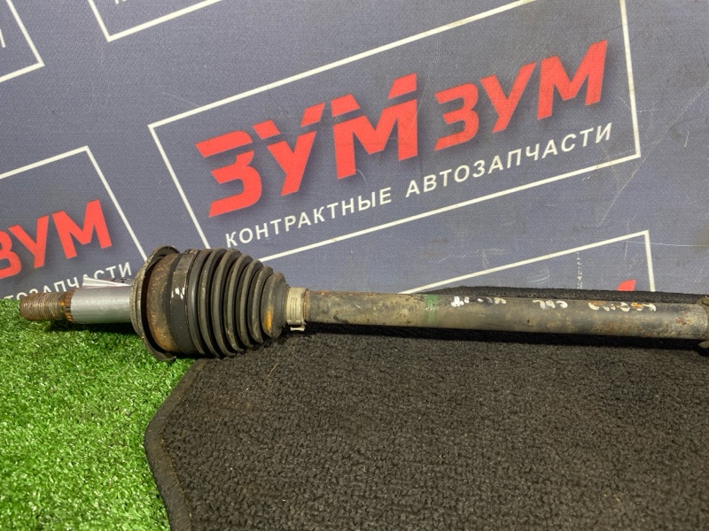 Привод, 2300 рублей, Солонцы