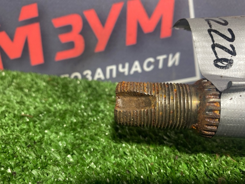 Привод, 2300 рублей, Солонцы