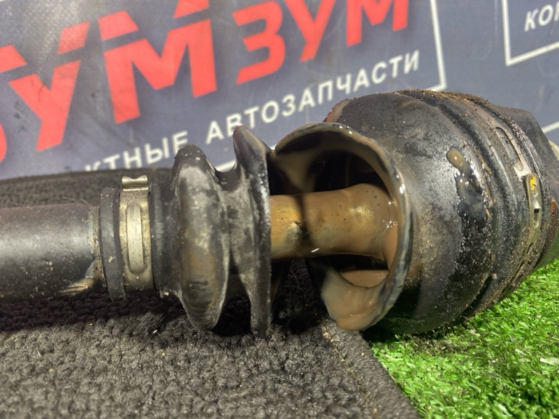 Привод, 2300 рублей, Солонцы