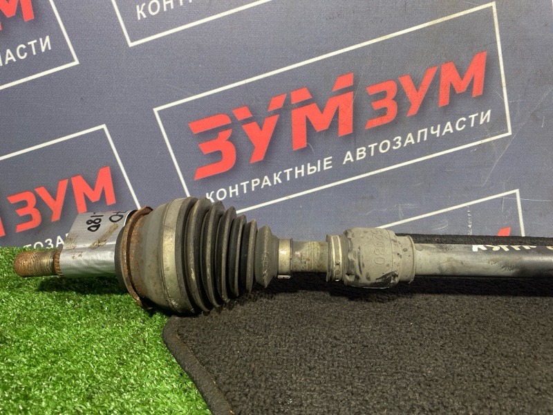 Привод, 5800 рублей, Солонцы