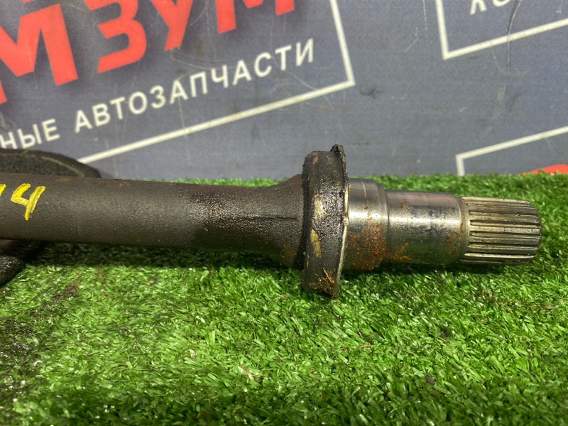 Привод, 10000 рублей, Солонцы