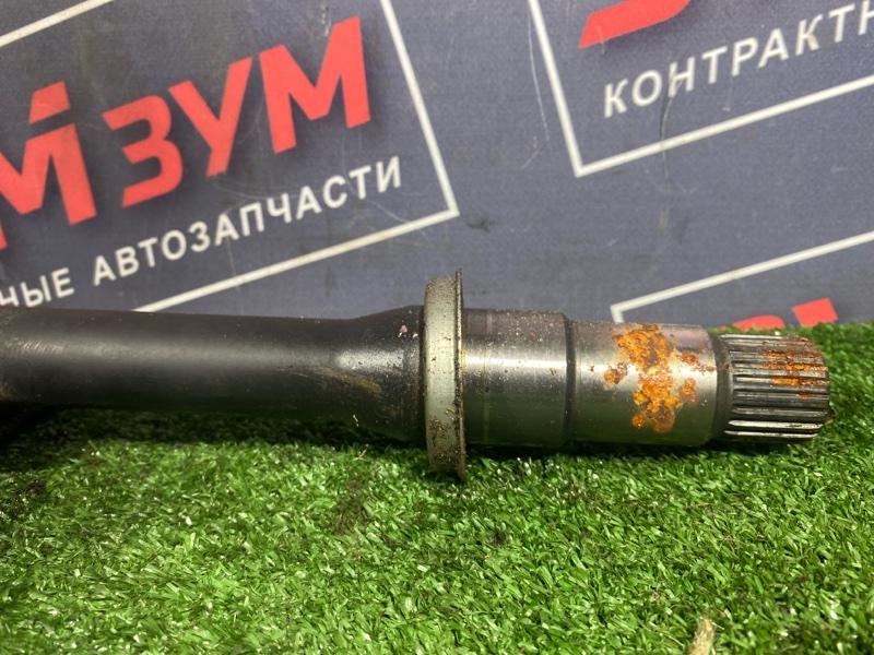 Привод, 6500 рублей, Солонцы