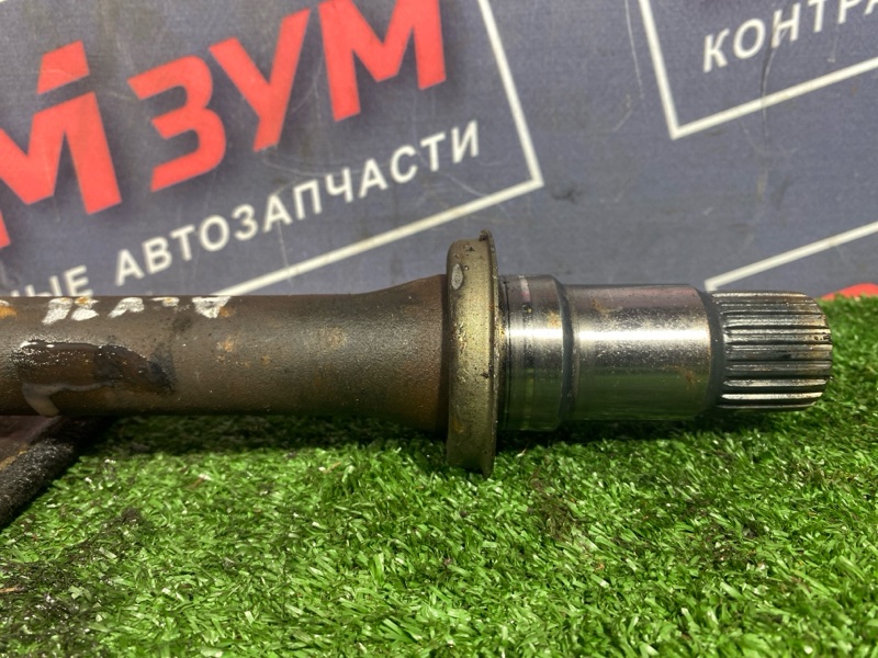 Привод, 9500 рублей, Солонцы
