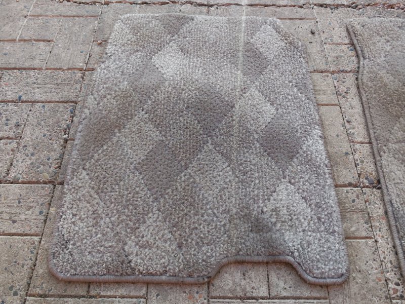 Коврик, 2000 рублей, Солонцы