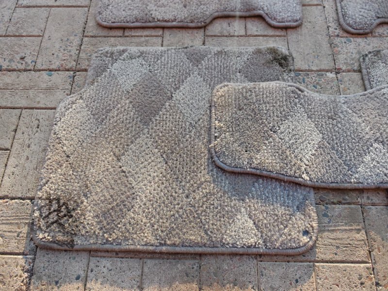 Коврик, 2000 рублей, Солонцы