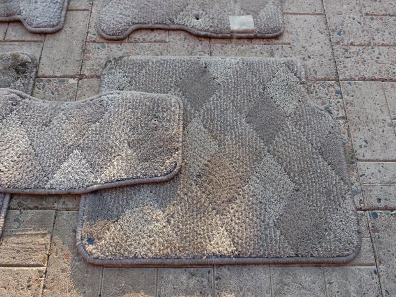 Коврик, 2000 рублей, Солонцы