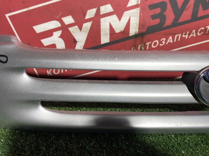 Решетка радиатора, 5000 рублей, Солонцы