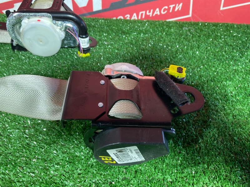 Ремень безопасности, 15000 рублей, Солонцы