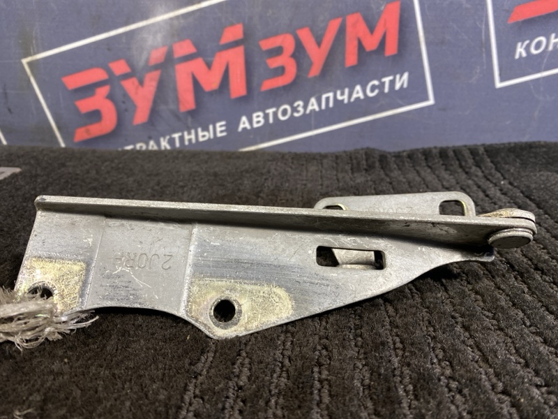Петля (Шарнир капота), 500 рублей, Солонцы