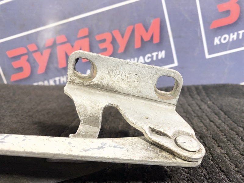 Петля (Шарнир капота), 500 рублей, Солонцы