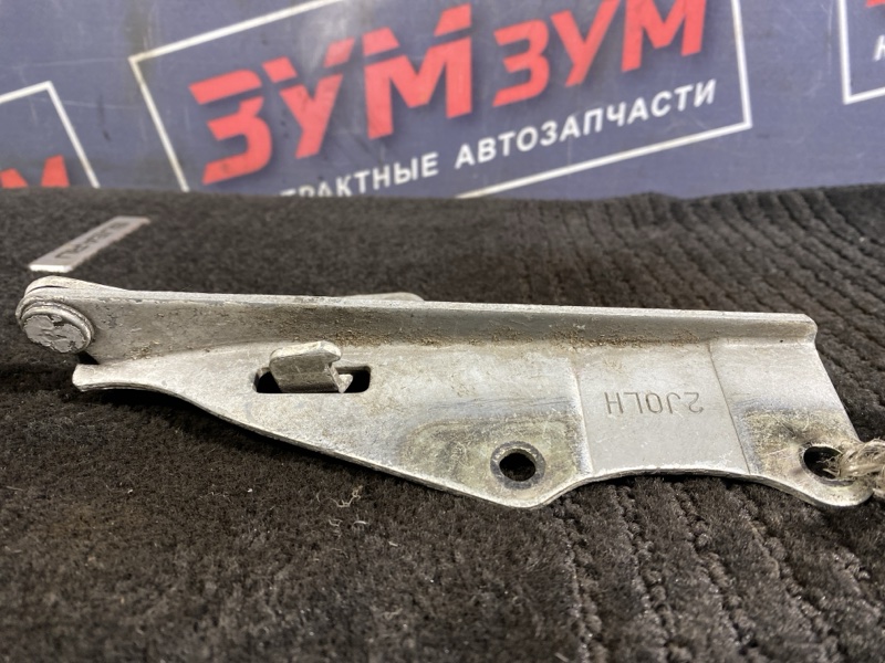 Петля (Шарнир капота), 500 рублей, Солонцы