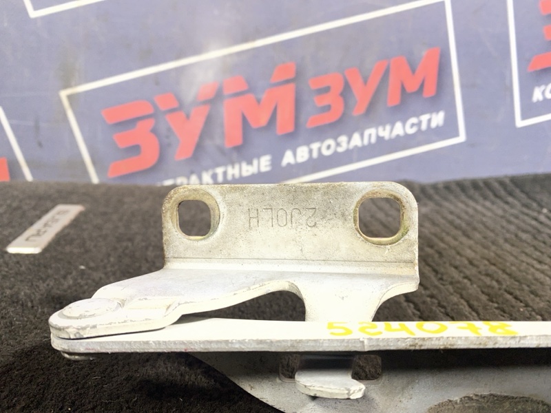 Петля (Шарнир капота), 500 рублей, Солонцы