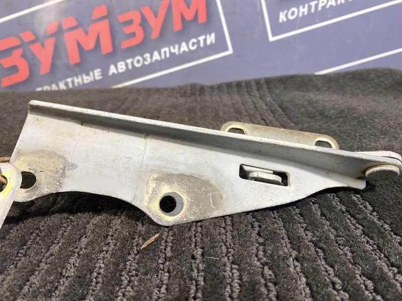 Петля (Шарнир капота), 500 рублей, Солонцы