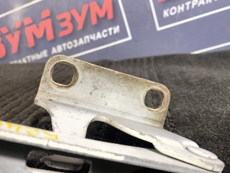 Петля (Шарнир капота), 500 рублей, Солонцы