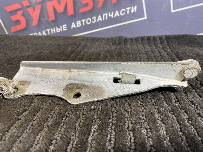 Петля (Шарнир капота), 500 рублей, Солонцы