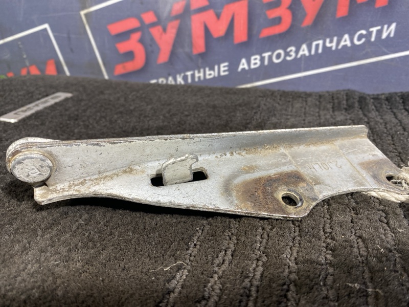 Петля (Шарнир капота), 500 рублей, Солонцы