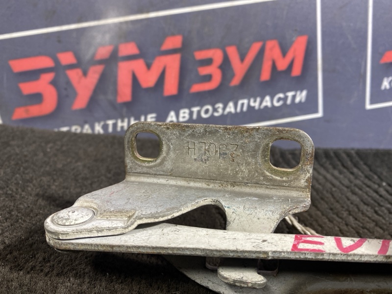 Петля (Шарнир капота), 500 рублей, Солонцы