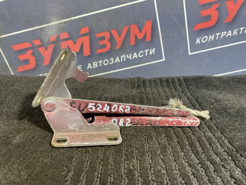 Петля (Шарнир капота), 500 рублей, Солонцы
