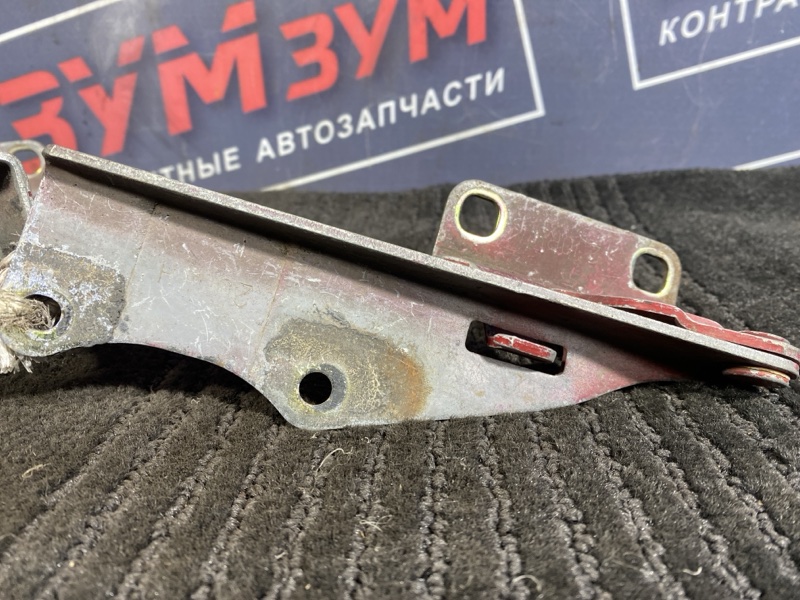 Петля (Шарнир капота), 500 рублей, Солонцы