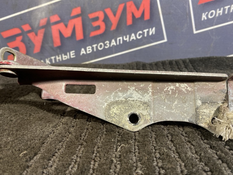 Петля (Шарнир капота), 500 рублей, Солонцы